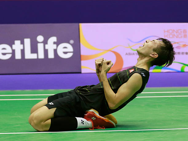 羽毛球比賽用球價格指南：不同品牌與型號對比