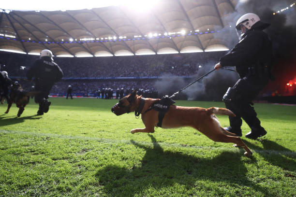 ? 歐冠賽場(chǎng)德國(guó)球隊(duì)表現(xiàn)：拜仁&多特最新比賽視頻解析！