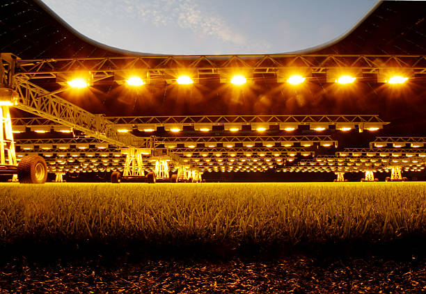 點(diǎn)球決勝時(shí)刻：非洲杯冠軍揭曉！