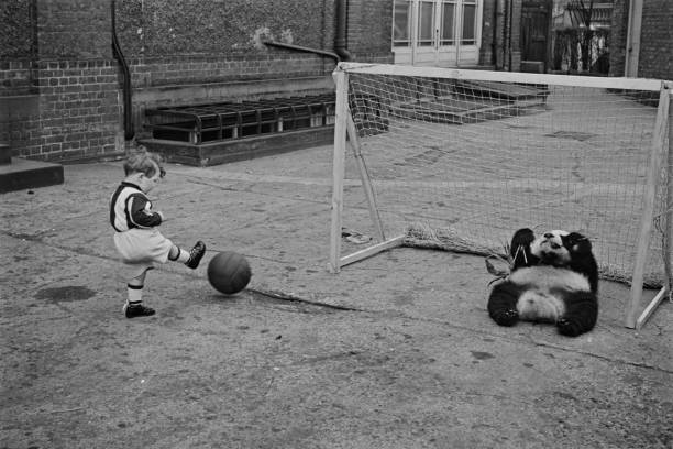 罰點球規(guī)則演變：為何禁止球員中途停頓？