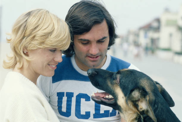 追尋馬特烏斯·范德爾的旅程：從失落檔案到家族秘密