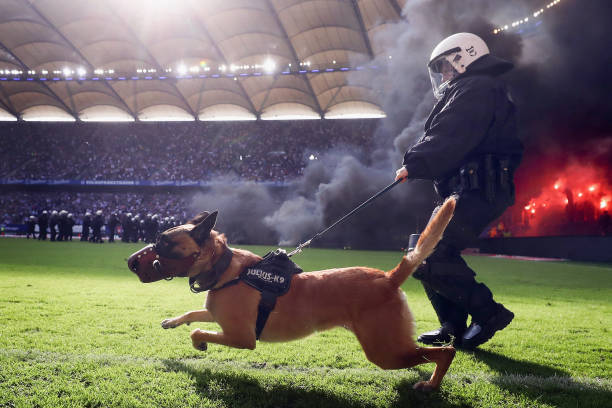 賽事預(yù)告｜成都蓉城VS強敵，本周六主場不見不散！