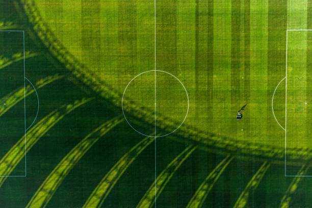 德甲裁判的“高薪”真相：壓力與收入是否匹配？