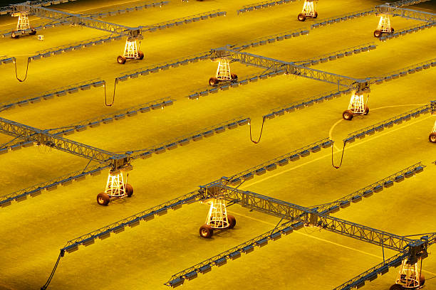 2023亞洲杯：中國(guó)足球的“黃金一代”能否崛起？