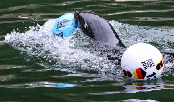 勞爾vs現(xiàn)代中鋒：傳統(tǒng)足球智慧在當代足壇的價值