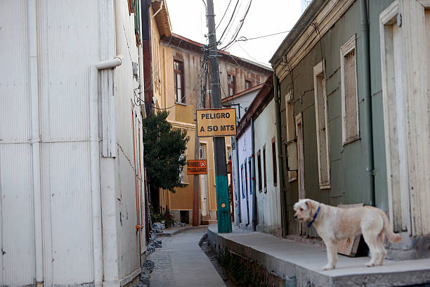 官方授權(quán)！馬拉多納紀(jì)念球衣致敬一代球王