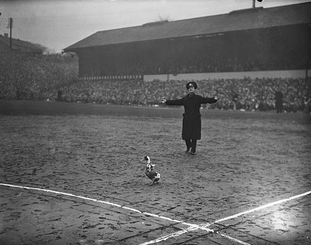 交易受限？解析FIFA足球世界球員無法交易的幾種情況