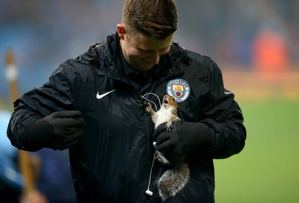 實時直播：葡萄牙隊進球視頻免費放送