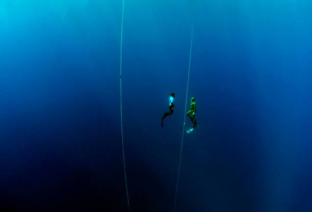 跳水比賽能否出現(xiàn)多個(gè)金牌得主？