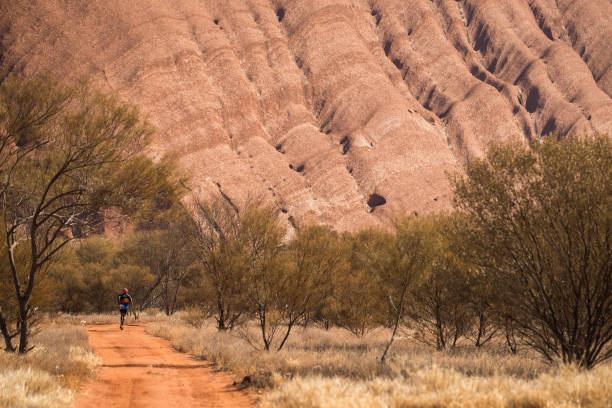 全紅嬋的抉擇：為何在巔峰時期選擇退出？