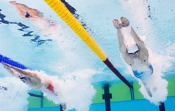 菲爾普斯雙胞胎的演藝作品全解析