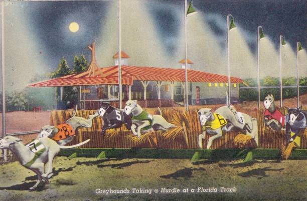 短跑跑鞋品牌對比：輕量、抓地力與緩震性能分析