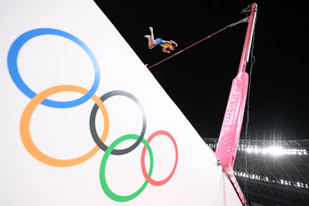 長跑健將大比拼：揭秘動物界的耐力之王