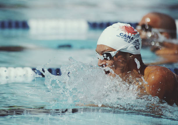 游泳等級(jí)標(biāo)準(zhǔn)更新：哪些級(jí)別發(fā)生了變化？