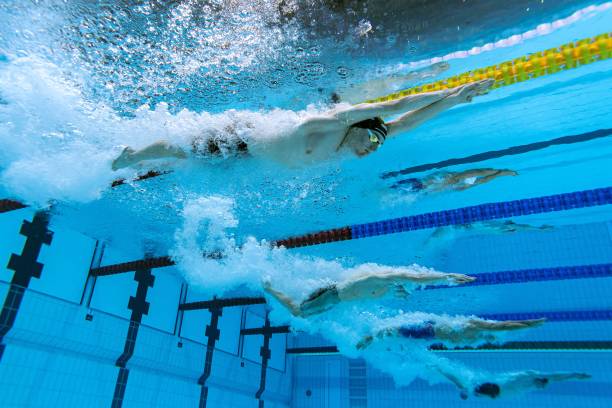 陳小紜游泳比賽高光時刻：完整劇集指南