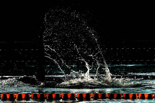 青少年游泳館開放時間及課程安排一覽