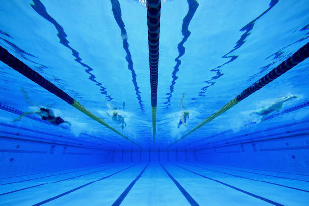 適用于專業(yè)評論，提供權威視角和深度洞察