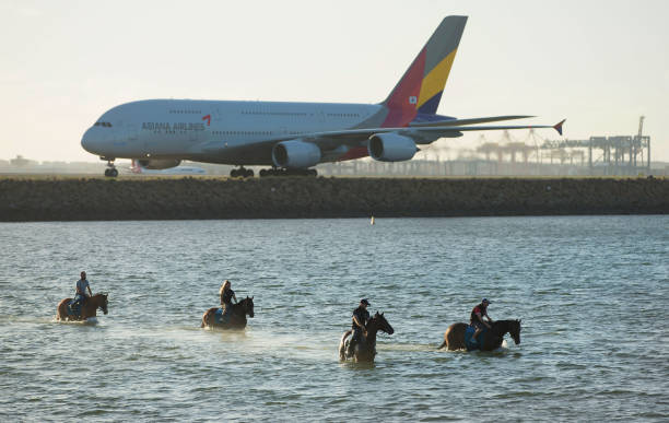 開放水域游泳的危險與應對策略