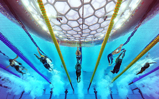 全國(guó)游泳賽事最新動(dòng)態(tài)：賽程更新與參賽報(bào)名信息