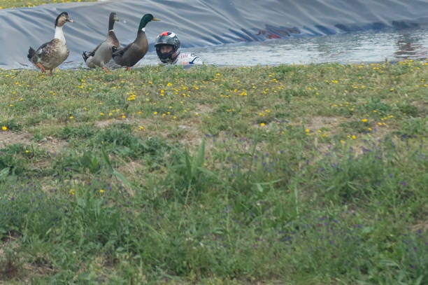 游泳新星崛起！盤(pán)點(diǎn)2023年世錦賽最值得關(guān)注的年輕選手