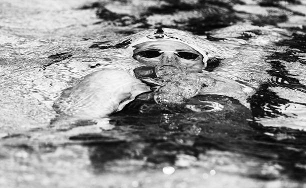 少年游泳運動員每日水分補充的重要性與建議量