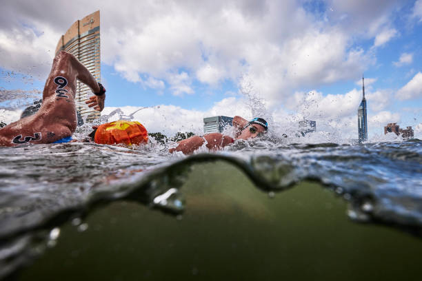 游泳比賽項目設(shè)置與參賽資格要求