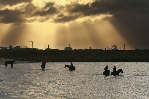 健康生活從游泳開始：義烏游泳池會(huì)員優(yōu)惠一覽