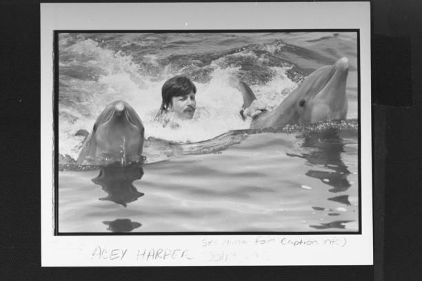 想通過游泳鍛煉身體？先了解自由泳和蛙泳的區(qū)別！