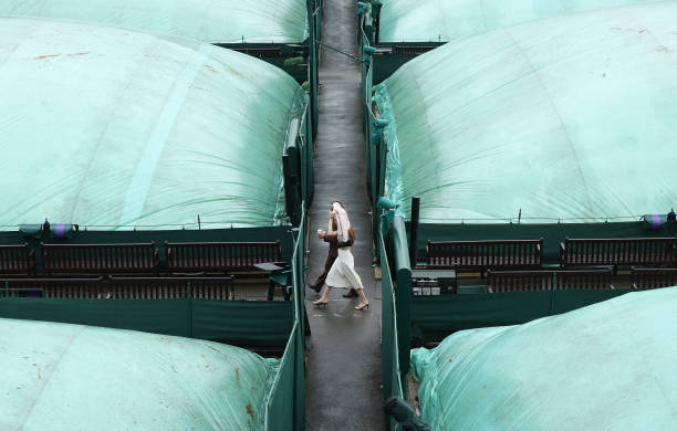 愛奇藝網(wǎng)球比賽回放功能全解析