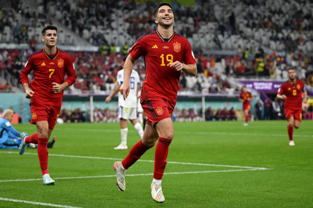 世界杯美女觀(guān)眾排行榜，誰(shuí)是你心中的第一？